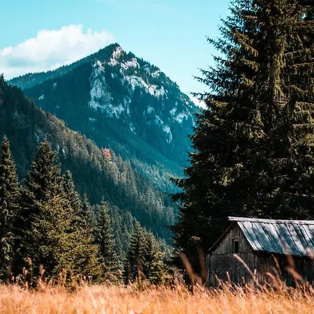 Hidden Gem Of Jasna, Vas Skryty Poklad V Jasnej Апартаменты *