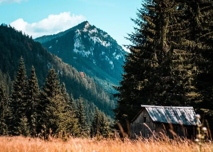 Hidden Gem Of Jasna, Vas Skryty Poklad V Jasnej Apartman *